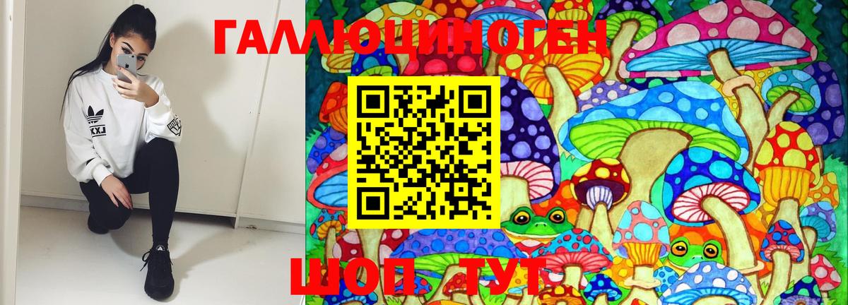 продажа наркотиков  Вход с VPN  Амурск  Псилоцибиновые грибы MAGIC MUSHROOMS 