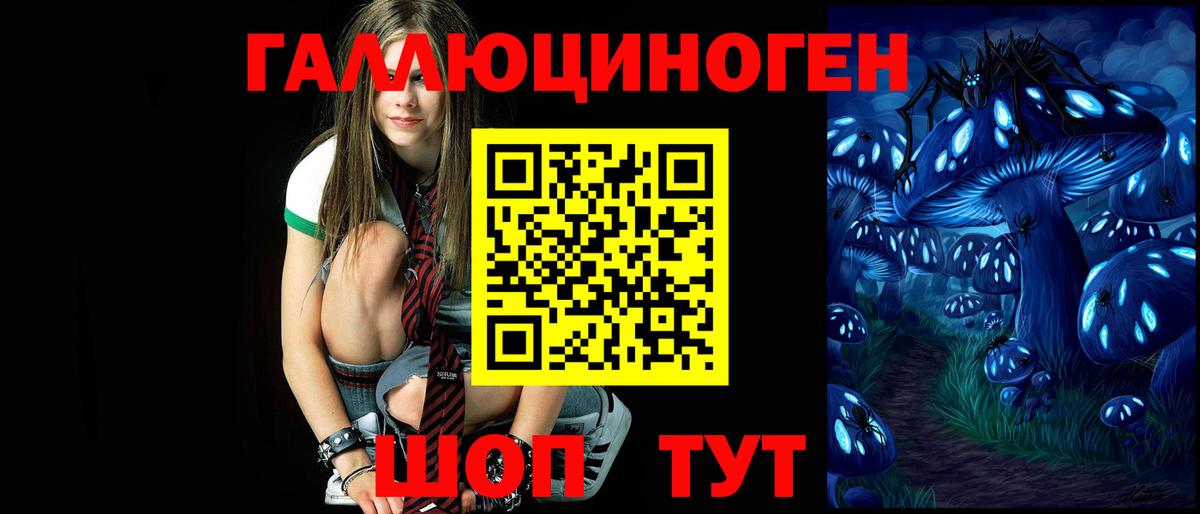 Галлюциногенные грибы Psilocybine cubensis Амурск